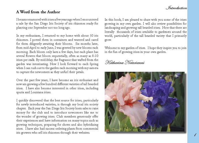 A Word from the Author